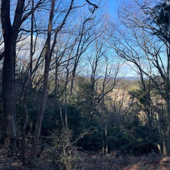 武甲山、大持山、伊豆ヶ岳など。