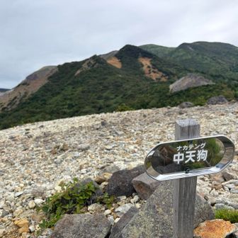 中天狗