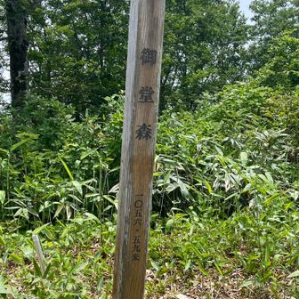 山頂🙌
一気に登りました..休憩なし💧
辛すぎて写真もない💧地元の方はここは一気に登るのが普通みたいです...すごい