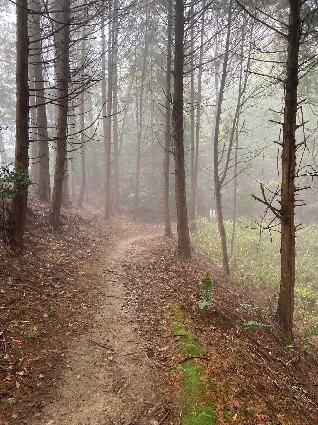 竹内山からは雲の中☁️