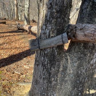 文字見えなくなってました