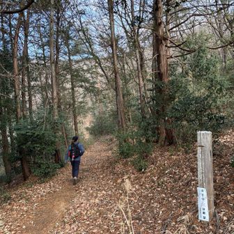 神社の裏手から山頂目指します！