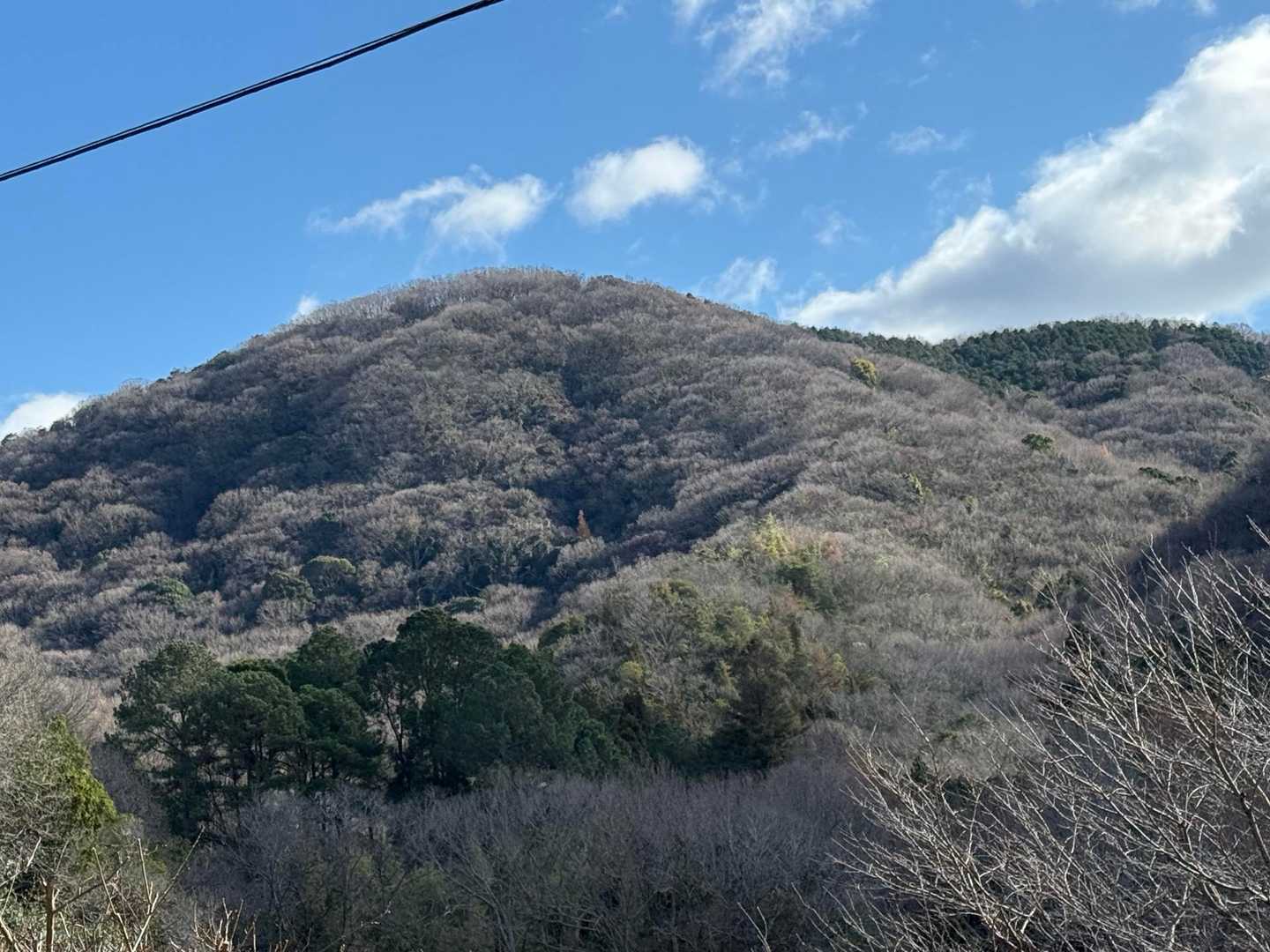 龍ノ口山頂