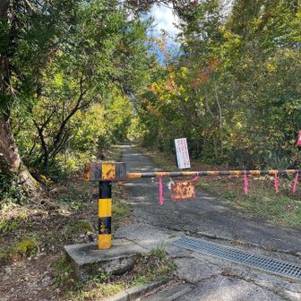 35分程荒廃した車道を歩いて無事下山。
