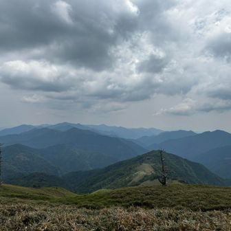 空があやしくなってきた☁️