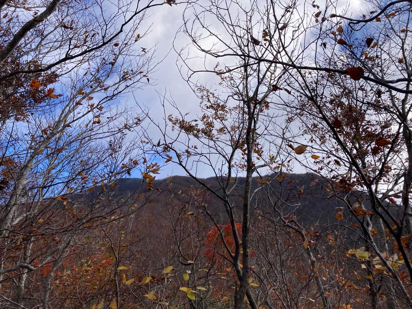 北面白山登山入口-三沢山-面白山 往復コースの写真