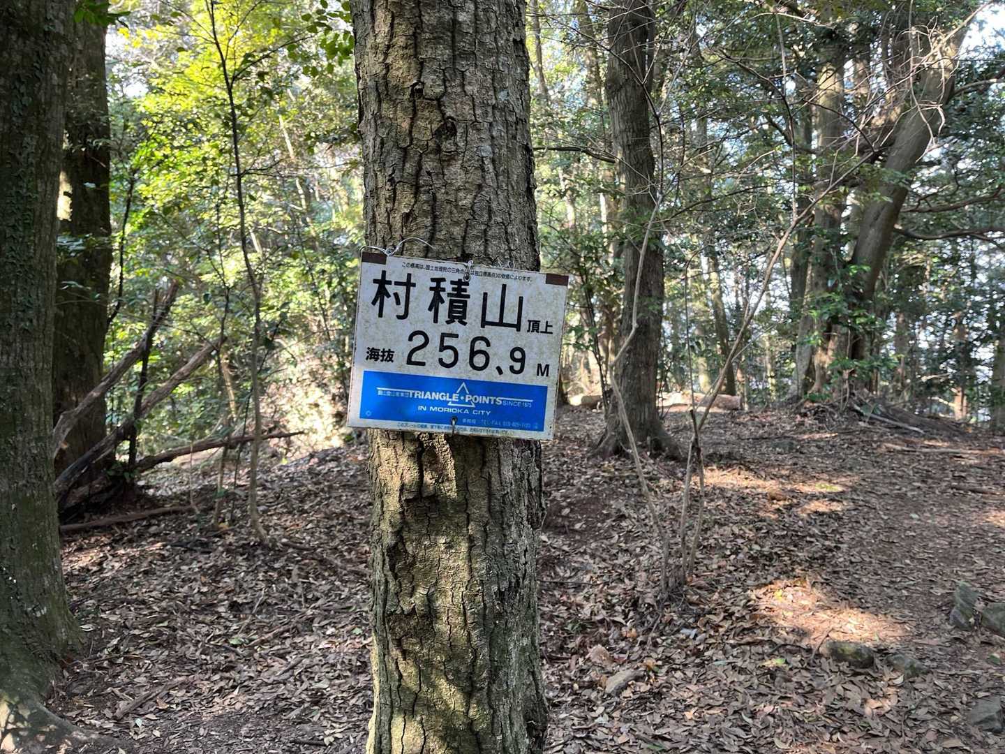 頂上到着