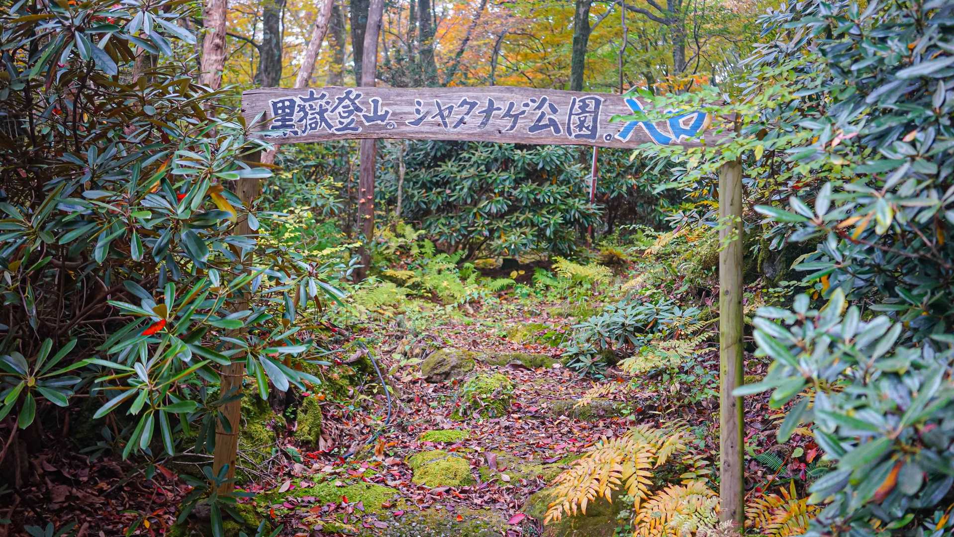 地獄の入口にしちゃ楽しげじゃねーか😏