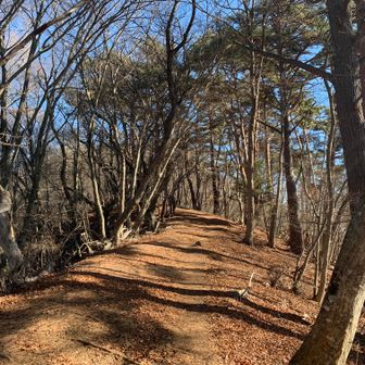 扇山へ向かう。