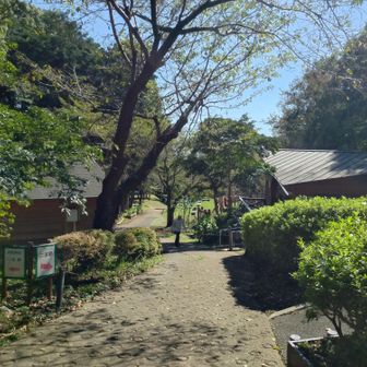 トイレと管理棟