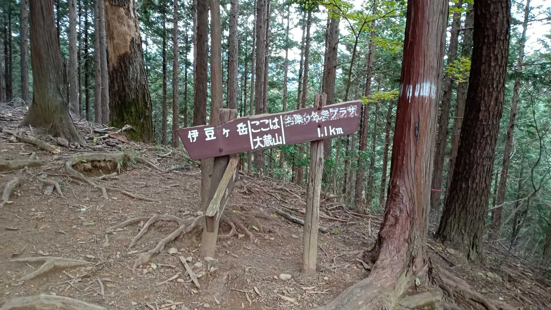 大蔵山