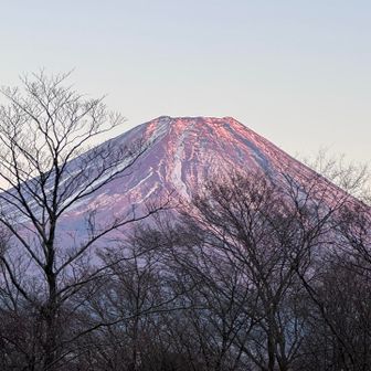 日が暮れてきた