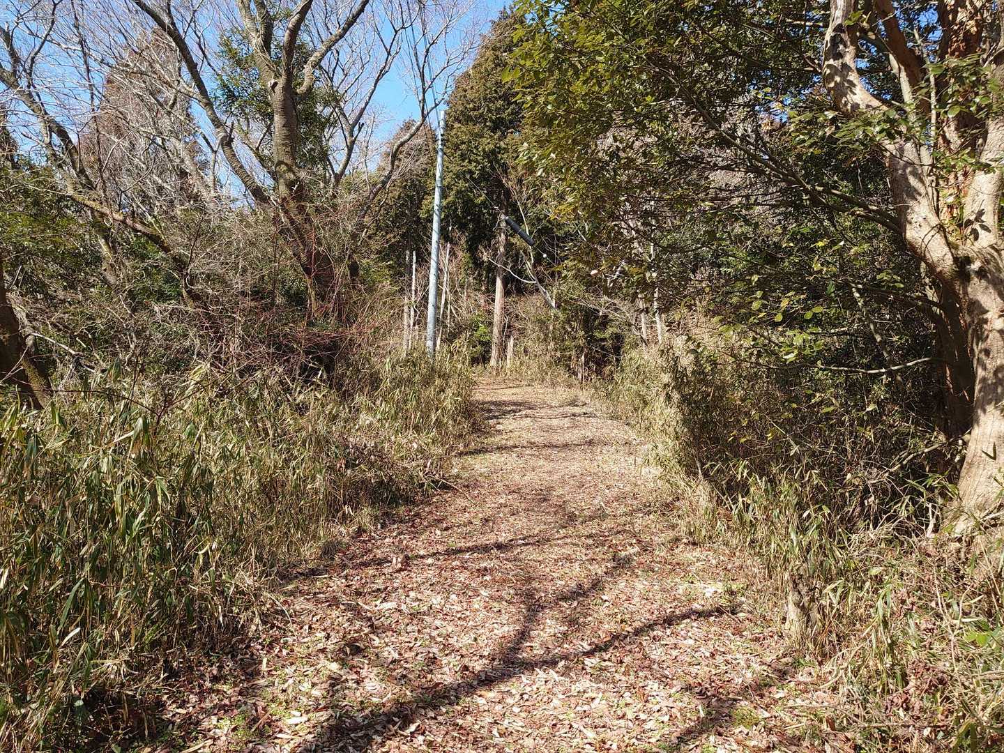 広く緩やかな道