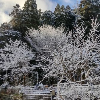思わず見惚れてしまいます