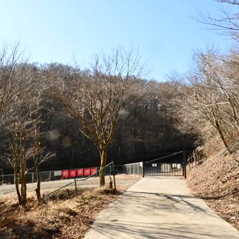 あー、ここに出るのか。そこの道が、小山町側から登ってくる道路で、すぐ右が三国峠の駐車場だ。
