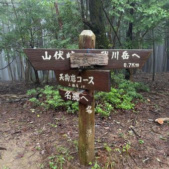 前武川岳💪
