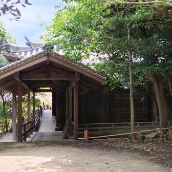 阿弥陀堂
なかの阿弥陀如来坐像は迫力ありました
