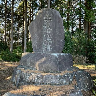 安倍城跡の立派な石碑がありました。