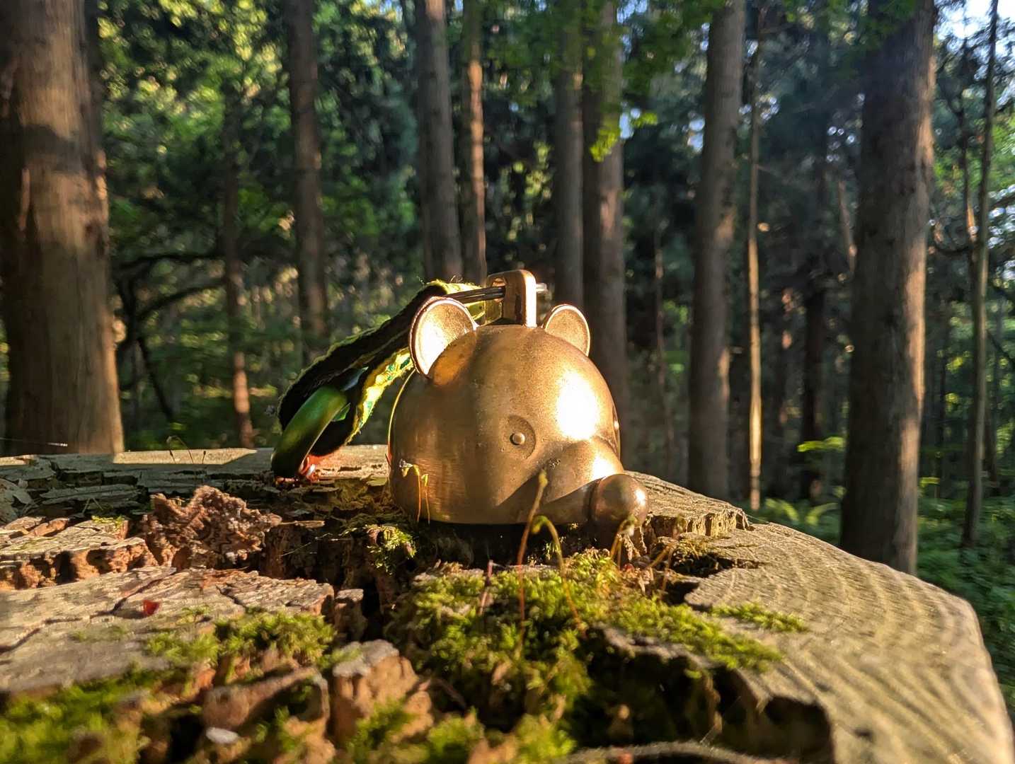 今日の相棒

夕日を見にこの時間登ってくる人が結構いました。

