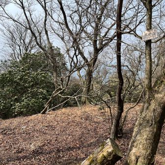 ここが今日の二つ目の山頂
水井山