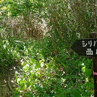 今日は時計回りでSTRT