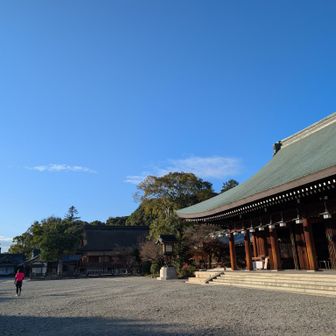 直ぐに🏃🏻‍♀️走って行きました!
❈もう一周回するのかな？🤔（笑）
