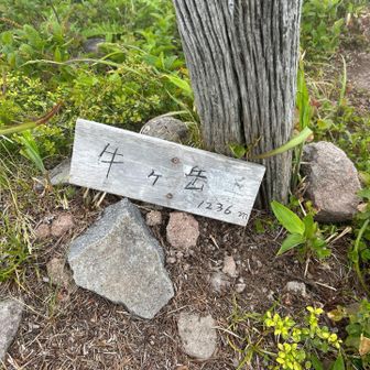 牛殺山に到着😆
凄い名前ですが命名は諸説色々あるようで、雄国沼の築堤工事の際に活躍した牛さん慰霊のためとか👀