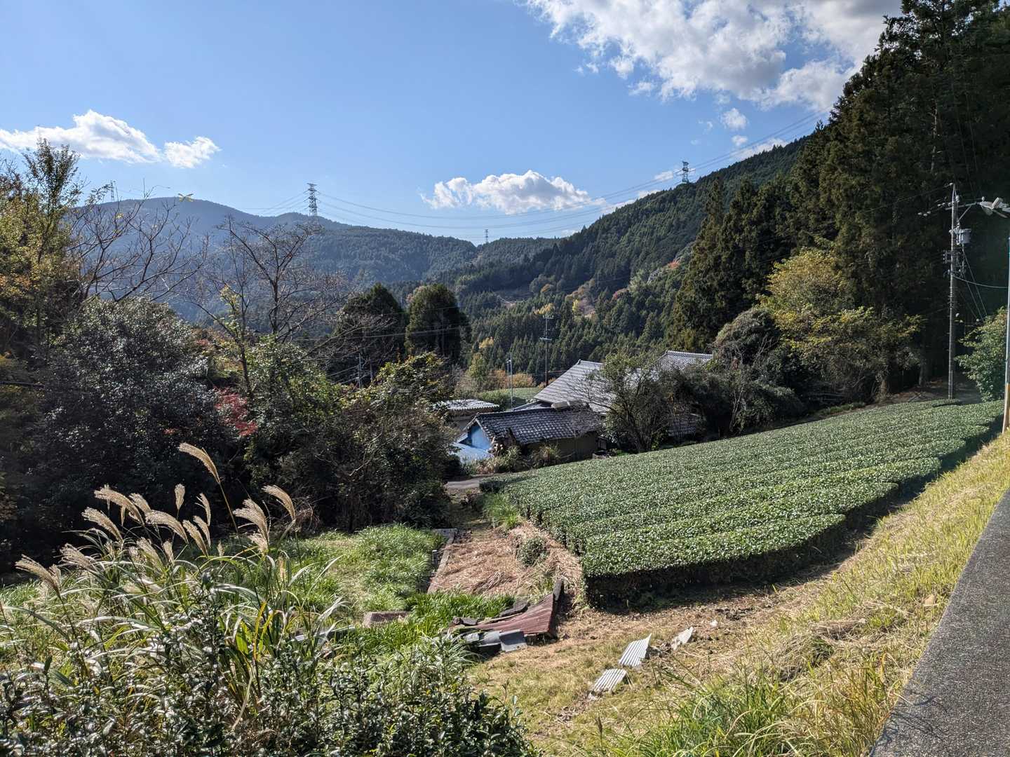 居尻バス停-大尾山 周回コースの写真