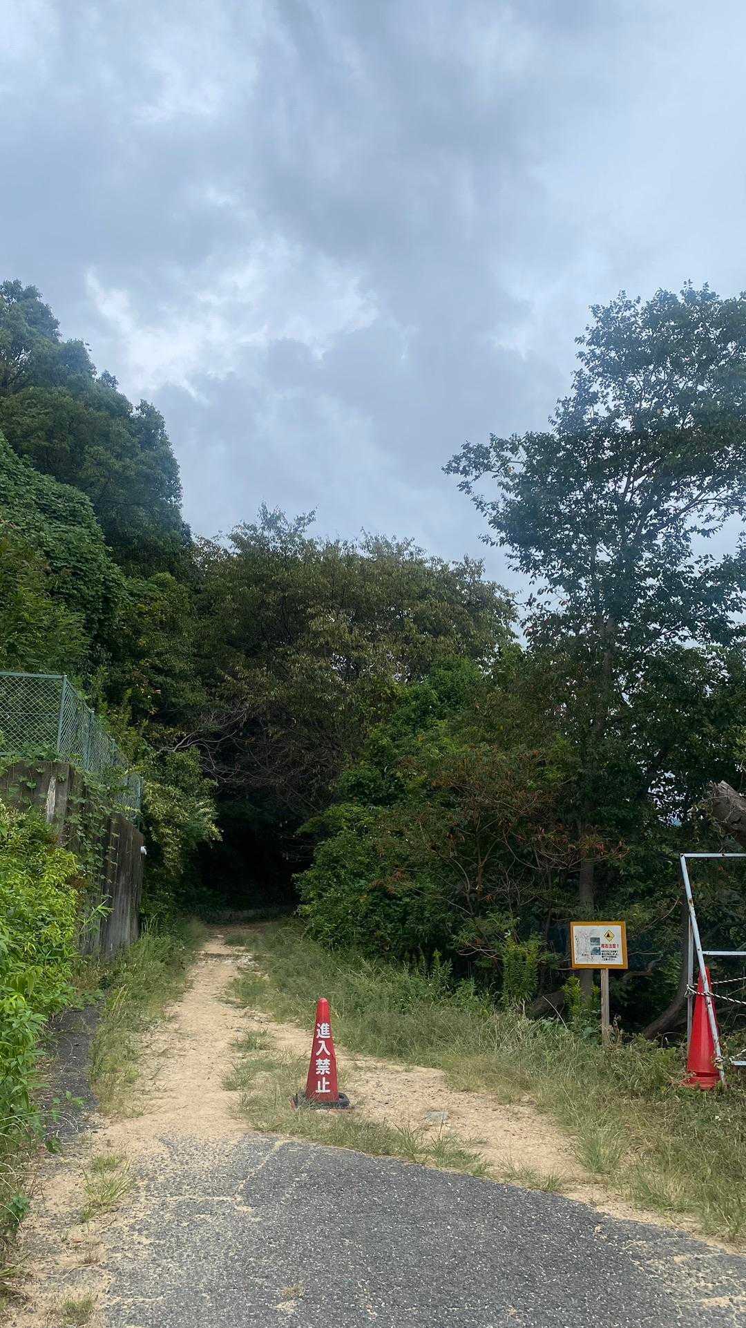 雨も来そうな気配なのでバスで帰りました🚌
またハチ落ち着いたら来なきゃだな♪
