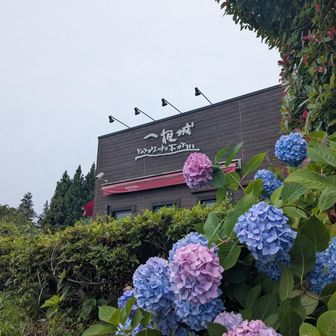 混んででソフトは辞めました