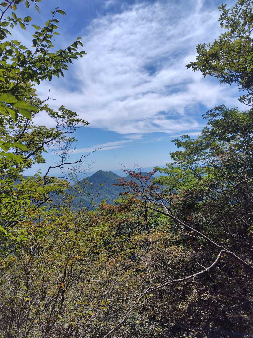 素晴らしい🚶🚶