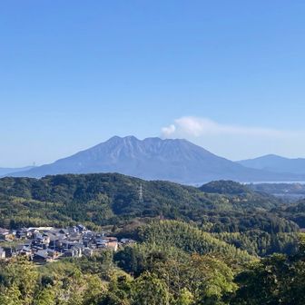ゴミは、食パンの空袋、ウインナーの袋、卵の殻🥚×2、空缶🥫×2、ペットボトル×2、プラスチックコップ🫗×3、焼酎の空ボトル、食品トレイ、割箸多数…。
焚火🔥跡も😤