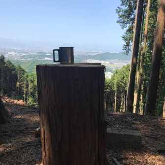 田んぼのかかし