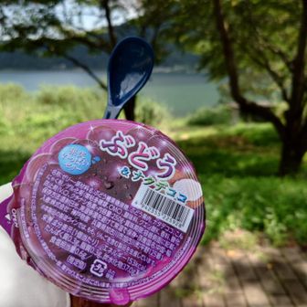 ぶどうですが現地調達でなくてすみません。