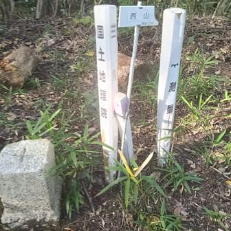 西山、三角点があった