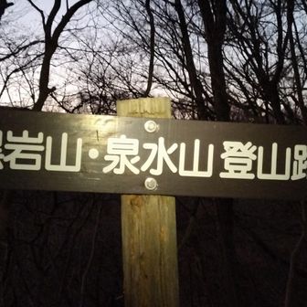 さて仕事早引きしてすこしでも歩きますかー🚶‍♀️