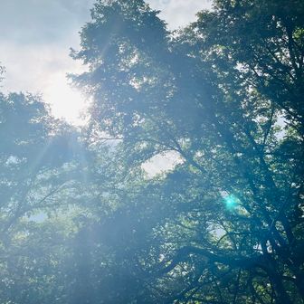 たまに晴れてくる☀️
ありがとう！