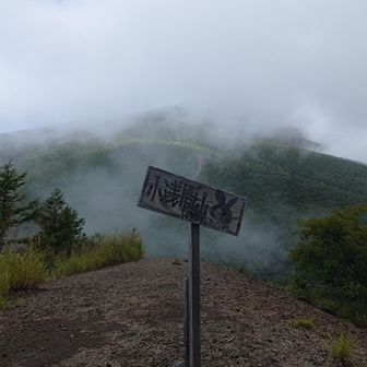 西峰、ガスってますが待つことに。