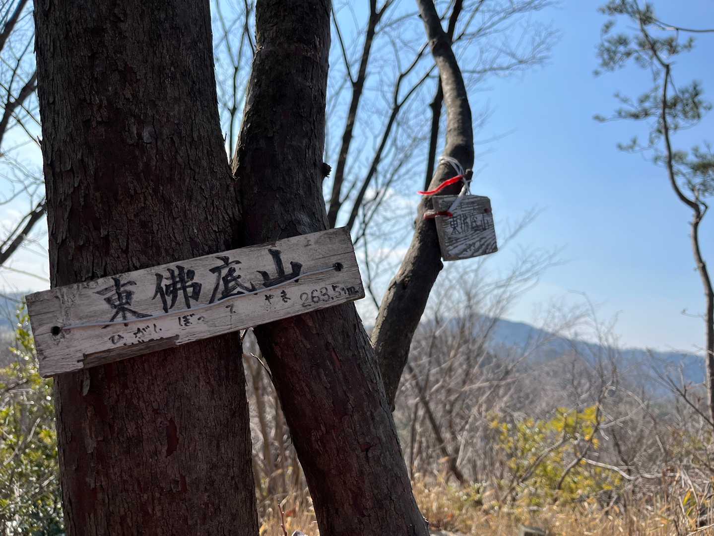 9ピーク🚩東ぼって山。さっきの山から9分です😊
