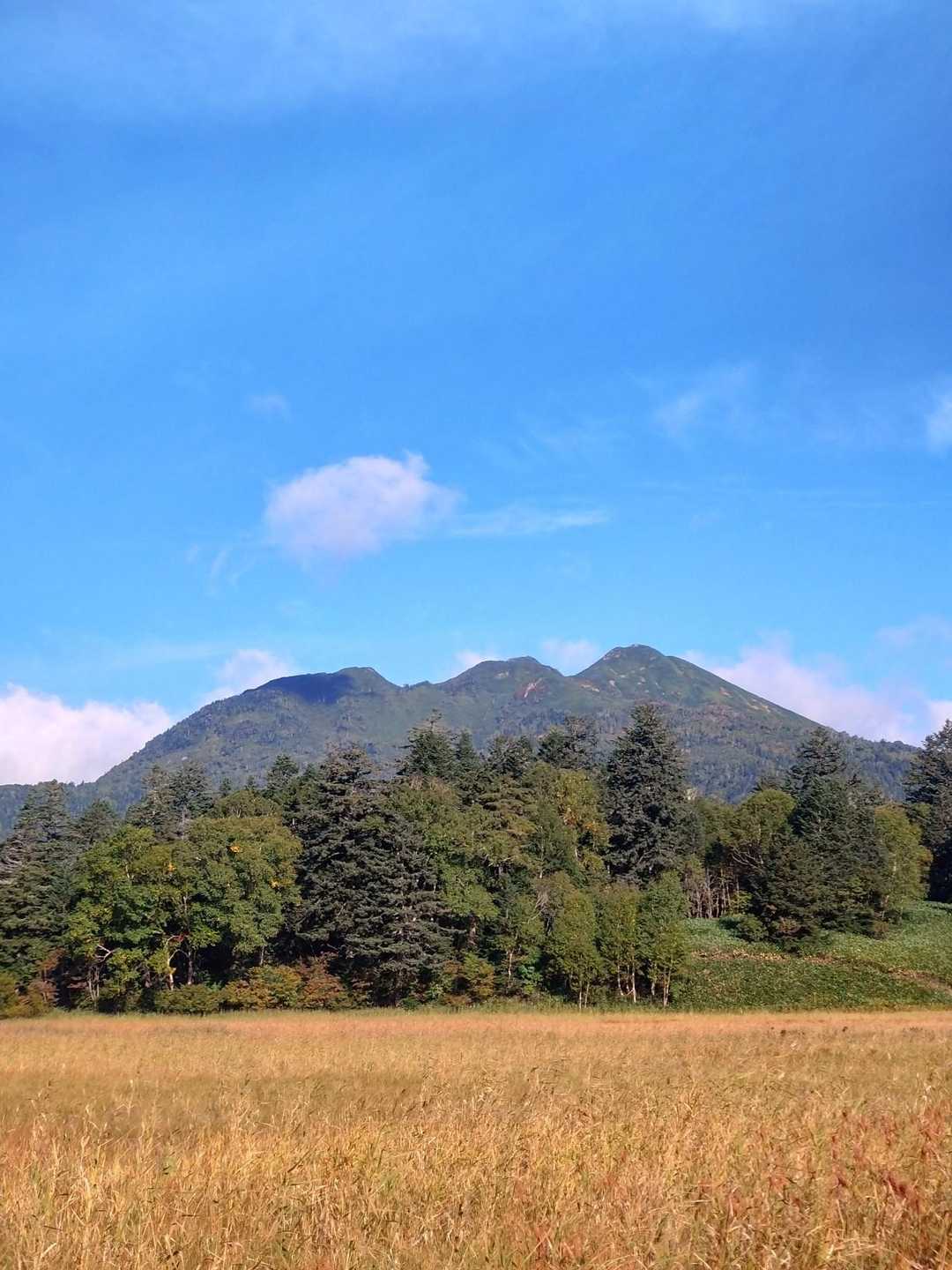 秋を感じつつ湿原を通り