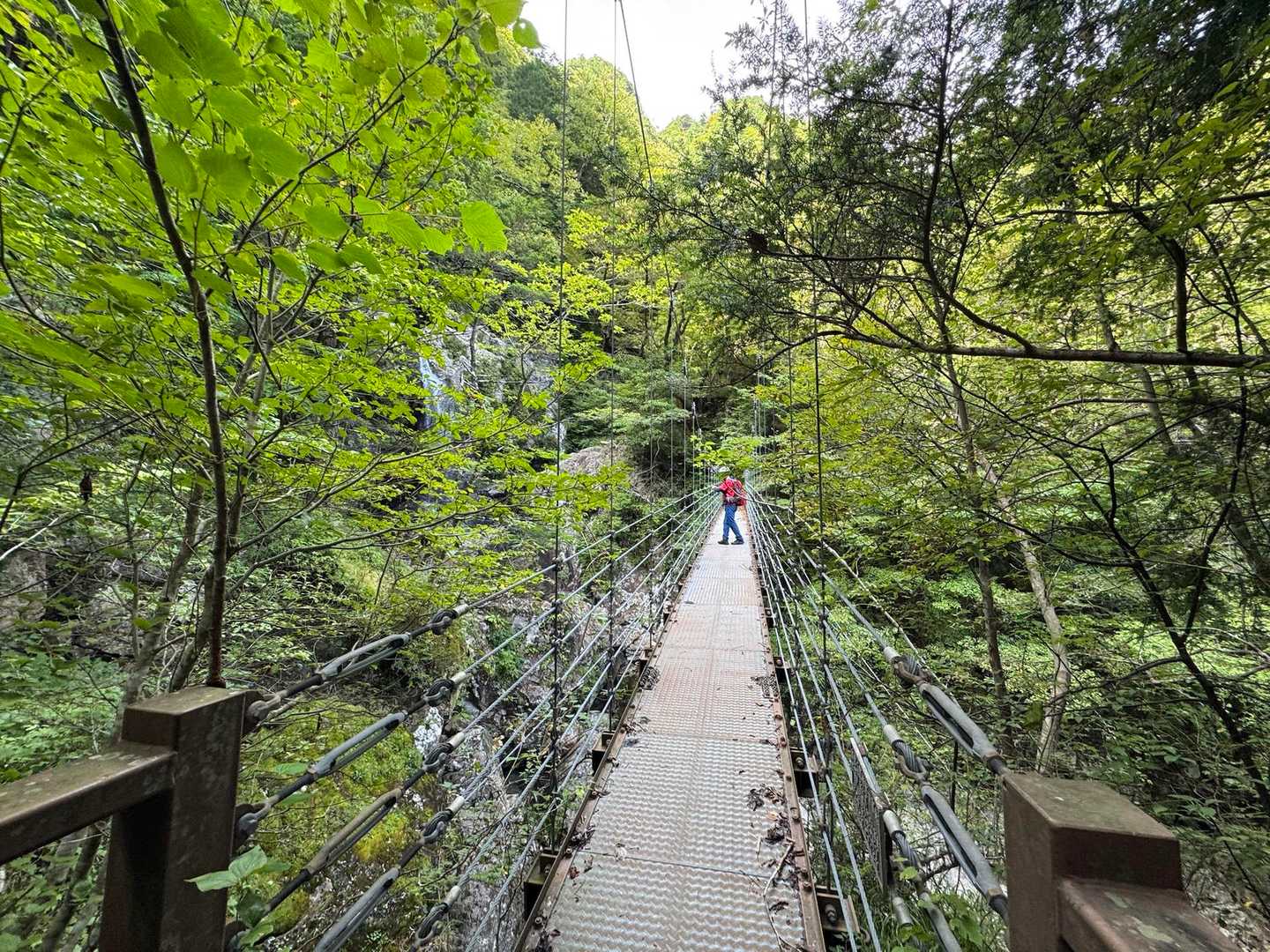 立派な橋で左岸から右岸へ