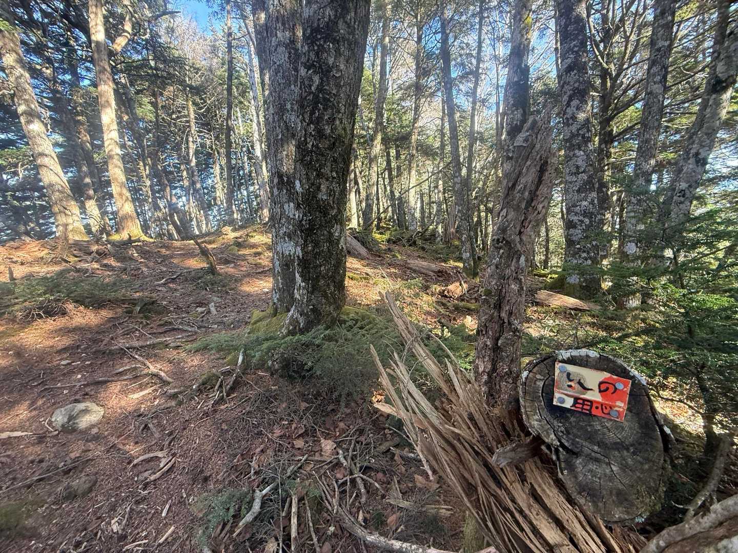 火の用心みっけ！