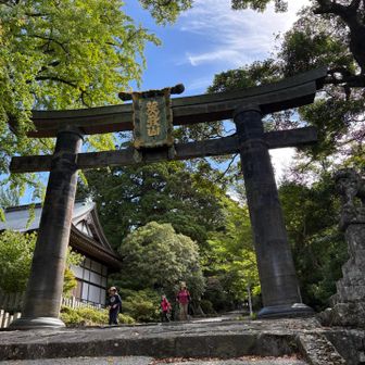 銅の鳥居いつ見てもいい感じ