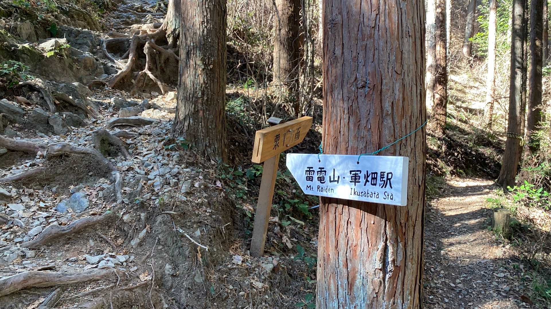 ここは左側へ