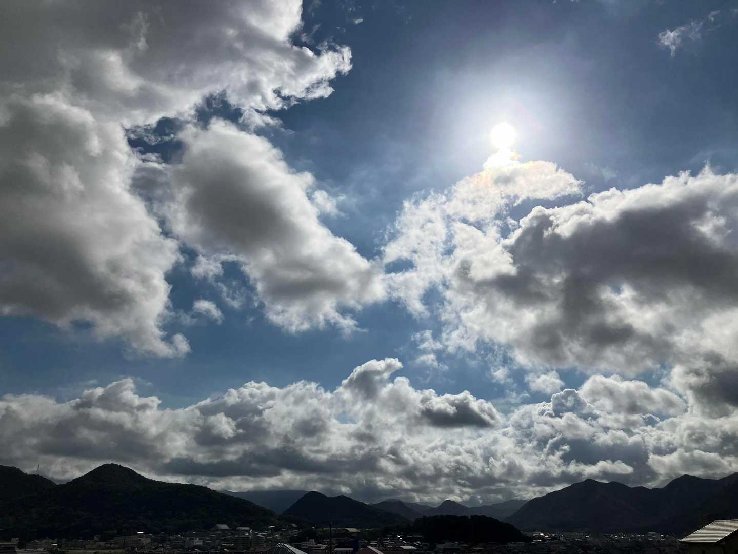 矢筈山 往復コースの写真