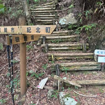 尾鷲トレイルの尾根筋に登る分岐点の標識。ここで引き返しました。