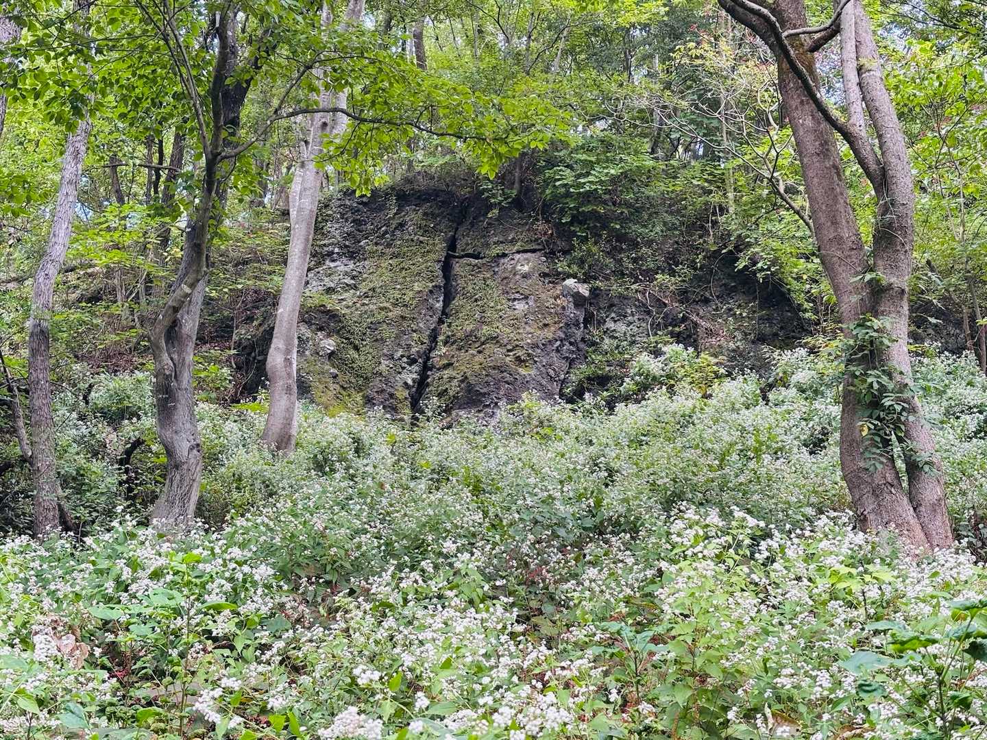 夫婦岩