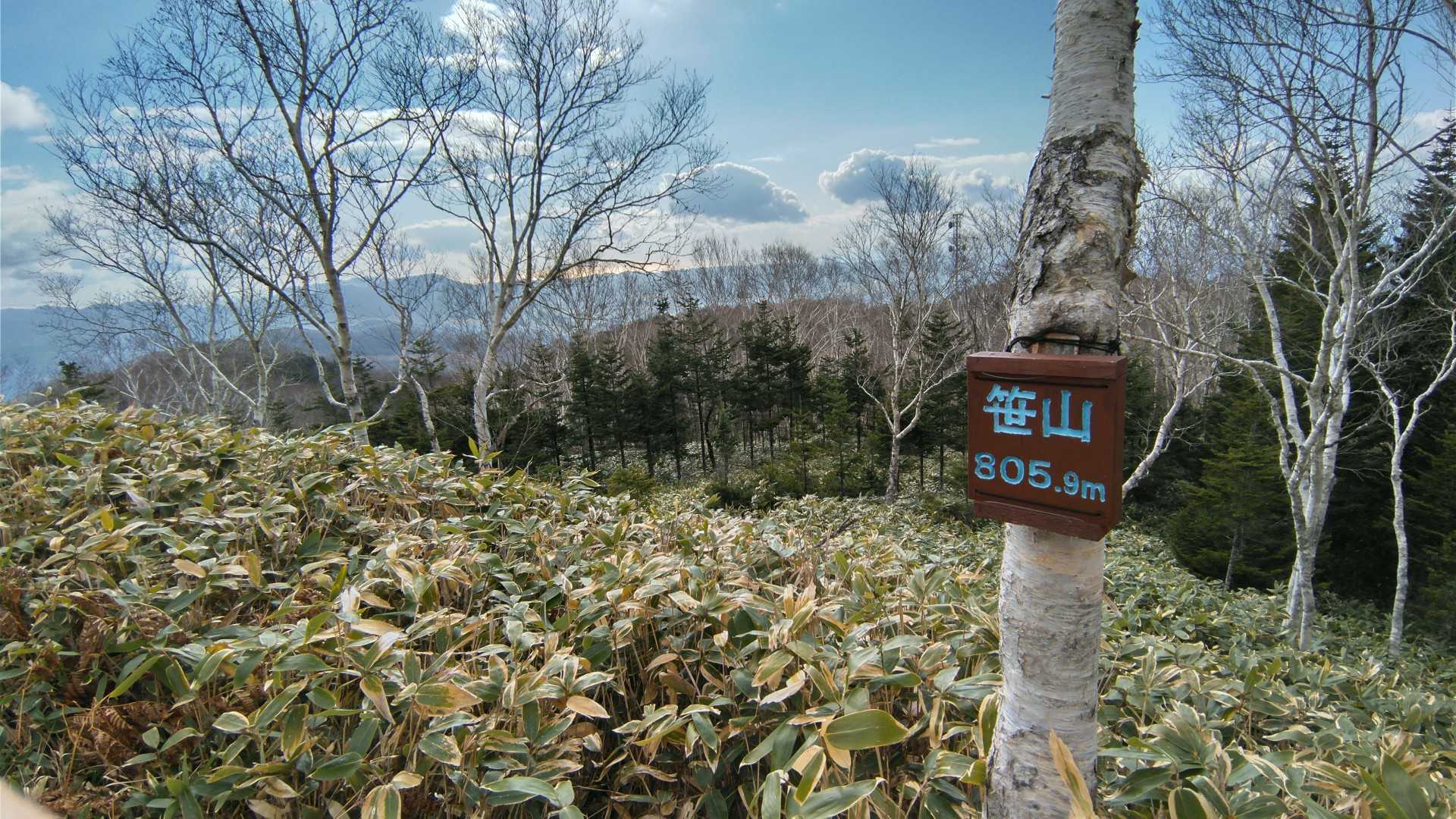 電波塔かたくさんあるお山、笹山です。電波塔があるから？なのかほぼ山頂まで道路があります

道路……といっても
かなりの崩壊具合なので、車幅がなくて車高が高い車じゃないと、上までは無理そうです。
ま、歩けばいいんですけどね。
道があったら
使いたいですよね🤭

こっちの笹は背が低くて
いいですねー✨
グイグイ笹に突っ込んでもいいですょ！