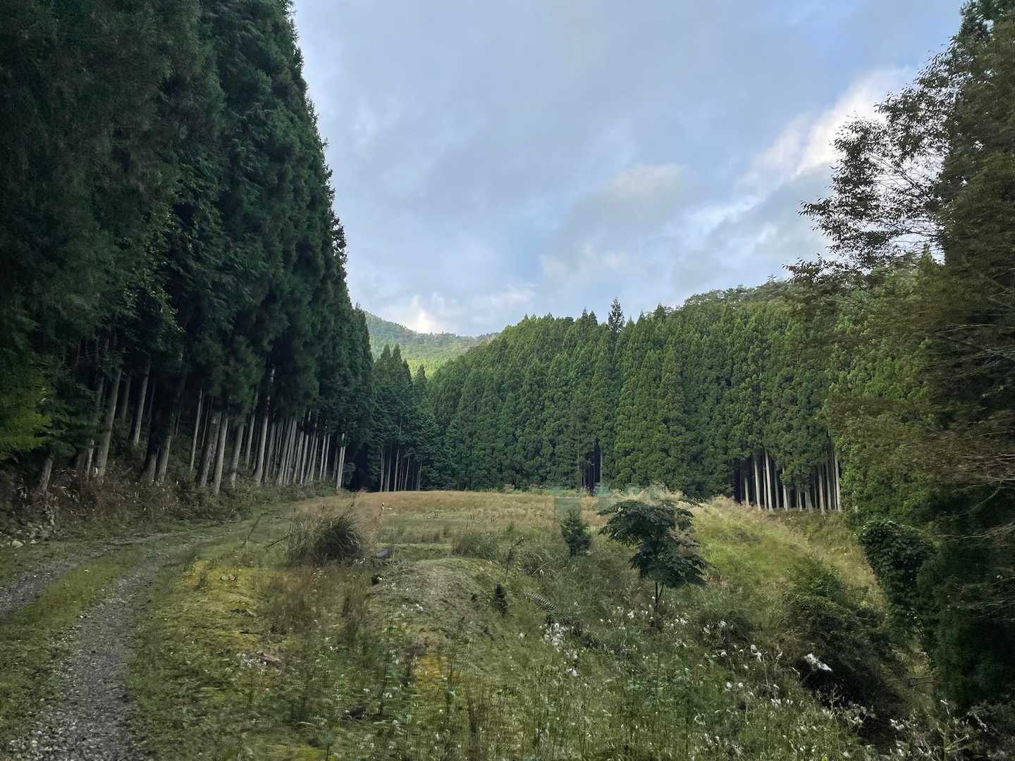 本日の目標は3座を⛰
午前中に回る予定で尼ちゃんスタート👣