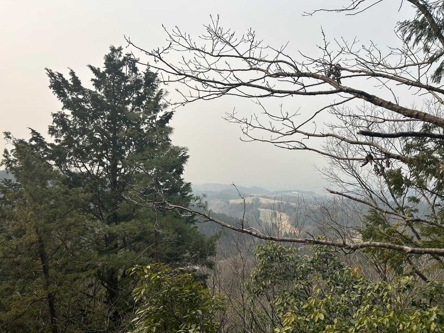 二座目の椎倉山の山頂標識を写真に撮らずして、下山はできない